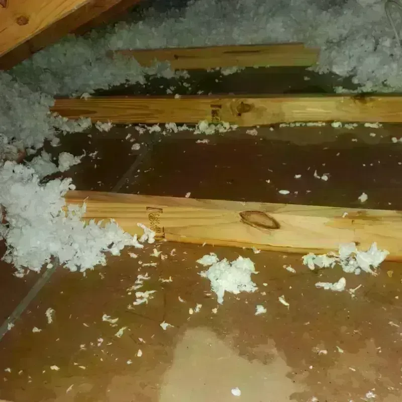 Attic Water Damage in Wildwood, FL